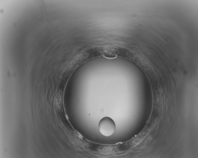 X0000064770129200602131326