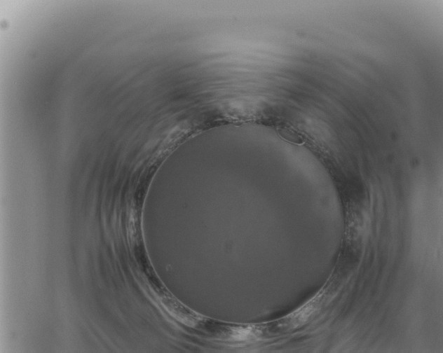 X0000064770130200602131326