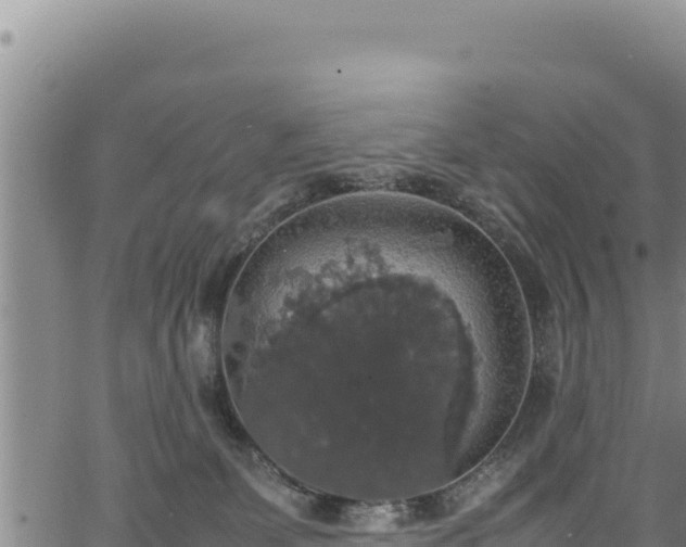 X0000064770131200602131326