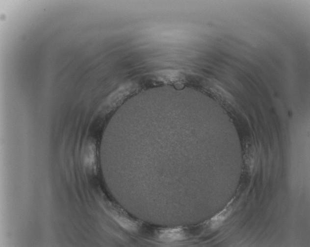 X0000064770132200602131326