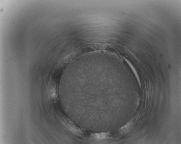 X0000064770134200602131326