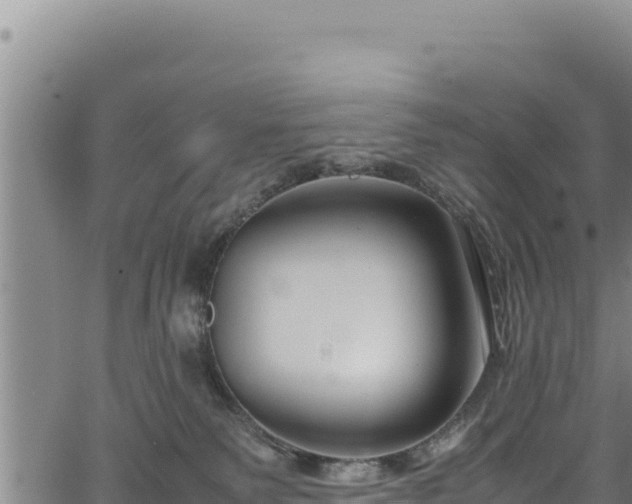 X0000064770135200602131326