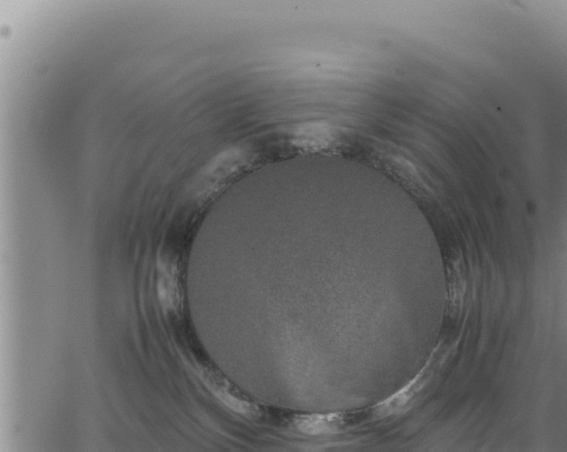 X0000064770136200602131326