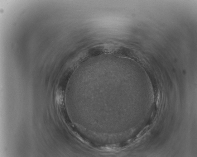 X0000064770137200602131326