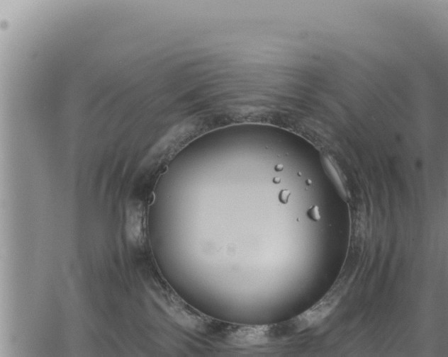 X0000064770138200602131326