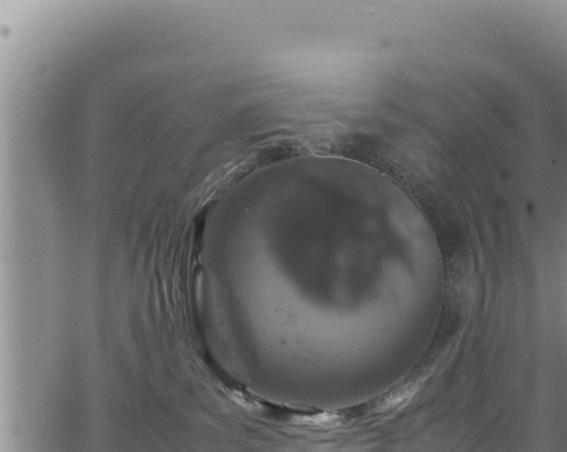 X0000064770139200602131326