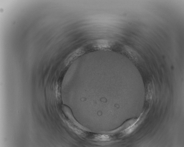 X0000064770140200602131326