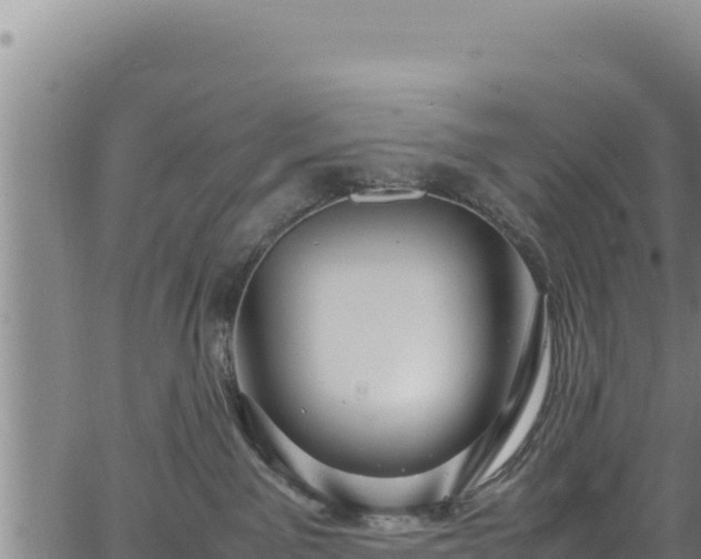 X0000064770141200602131326