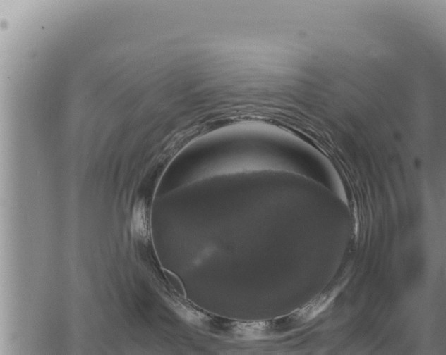 X0000064770143200602131326