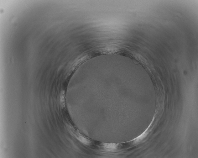 X0000064770144200602131326