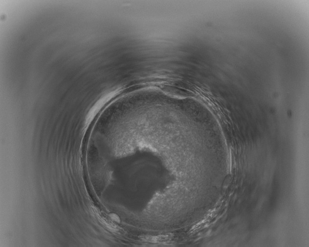 X0000064770147200602131325