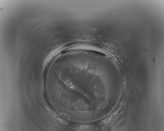 X0000064770149200602131325