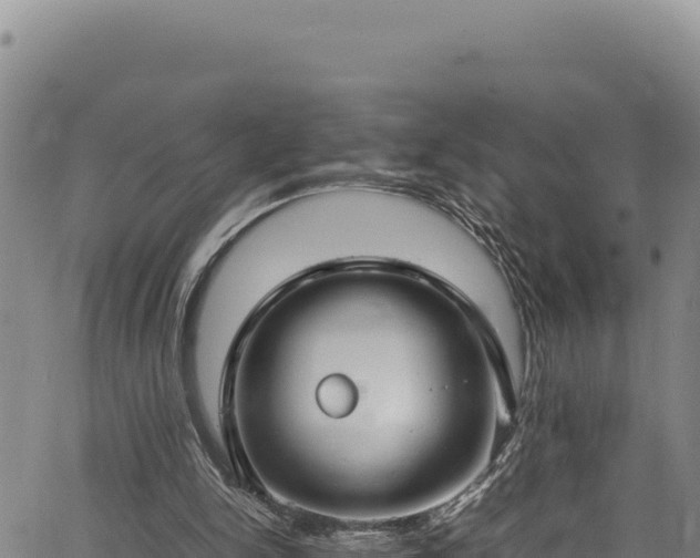 X0000064770150200602131325