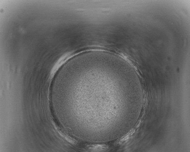 X0000064770151200602131325