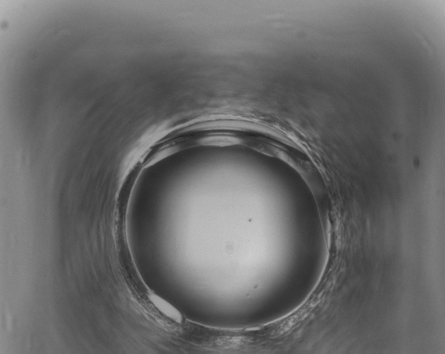 X0000064770152200602131325