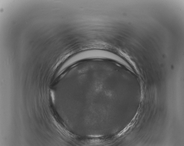 X0000064770154200602131325