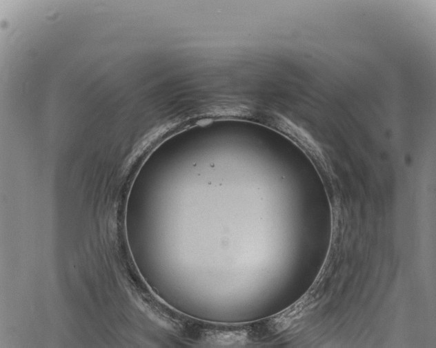 X0000064770155200602131325