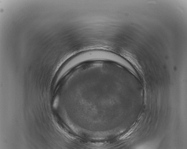 X0000064770156200602131325