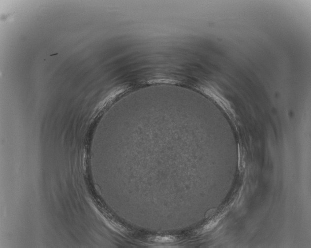 X0000064770157200602131325