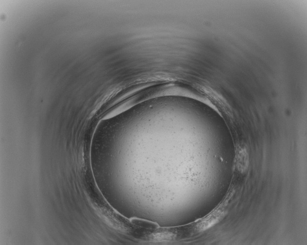 X0000064770158200602131325