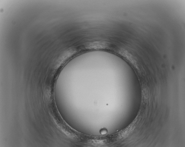 X0000064770159200602131325