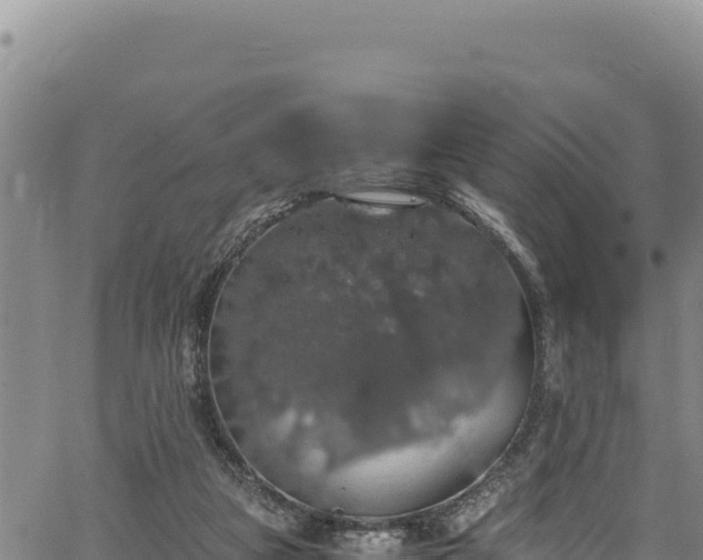 X0000064770161200602131325