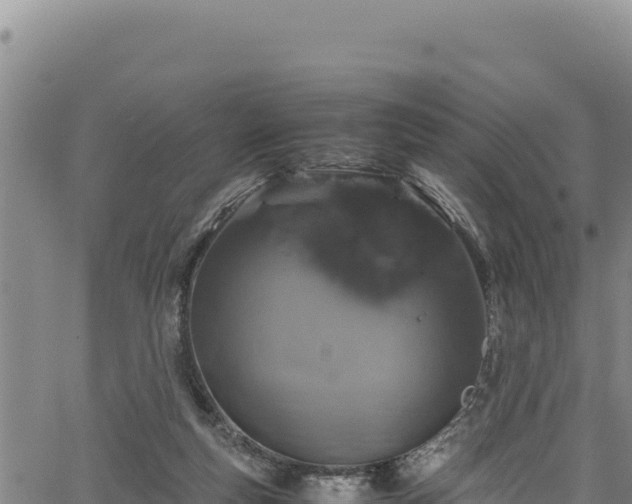 X0000064770163200602131325