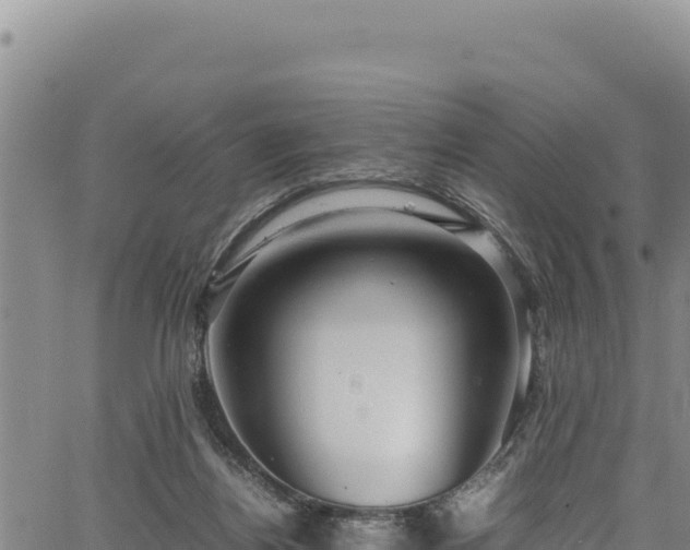 X0000064770164200602131325