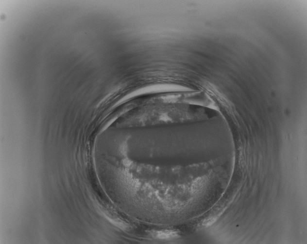 X0000064770165200602131325