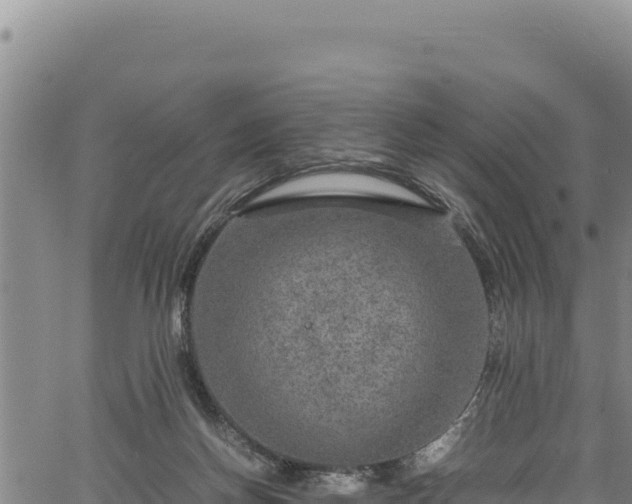 X0000064770166200602131325