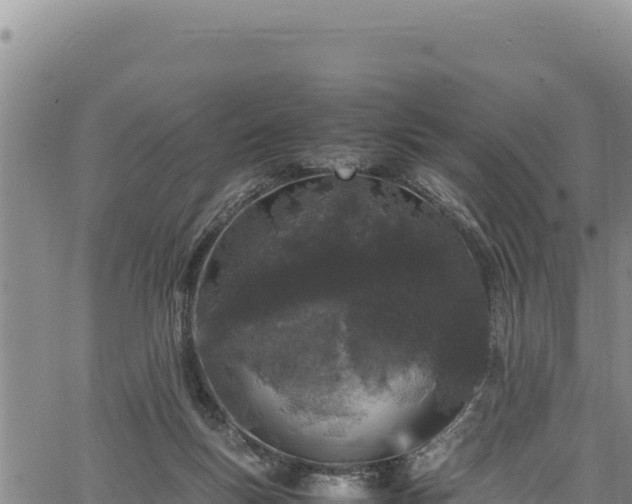 X0000064770167200602131325