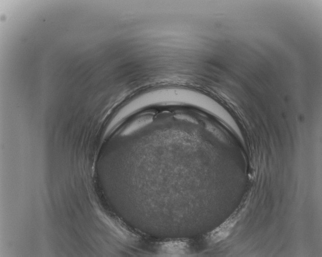 X0000064770168200602131325