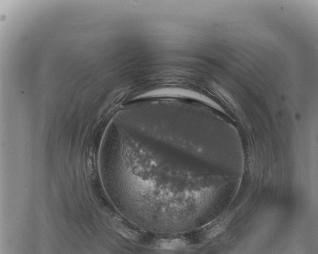 X0000064770169200602131325