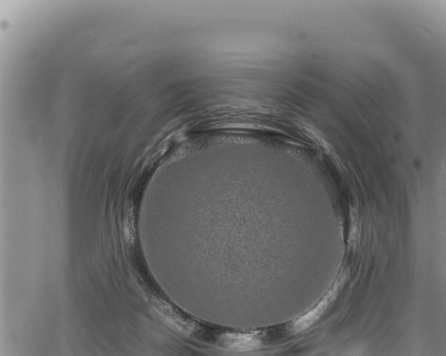 X0000064770170200602131325