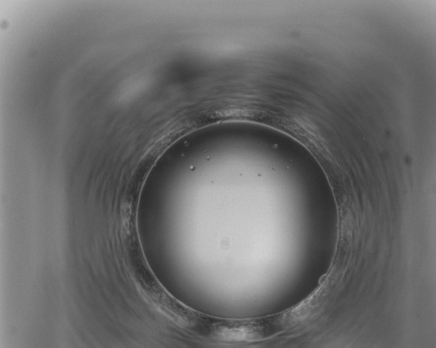 X0000064770171200602131325