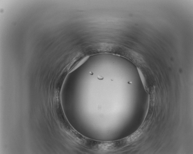 X0000064770172200602131325