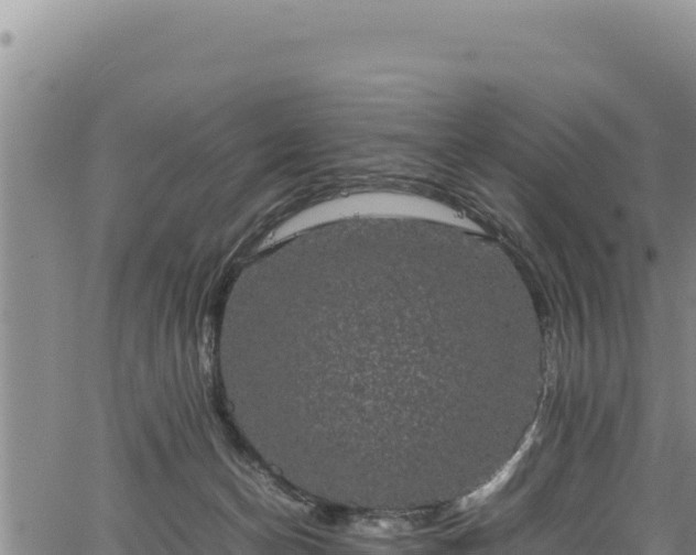 X0000064770174200602131325