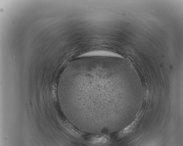 X0000064770175200602131325