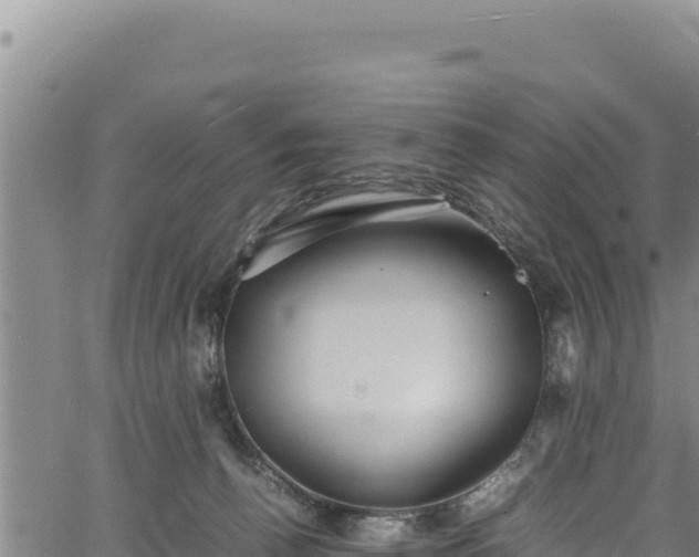 X0000064770176200602131325