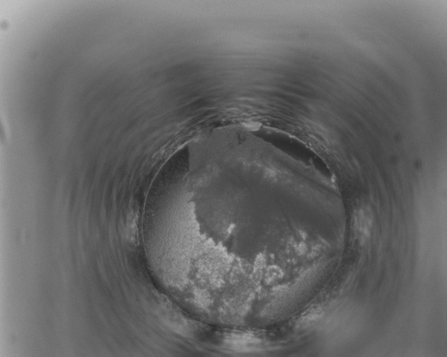 X0000064770177200602131325