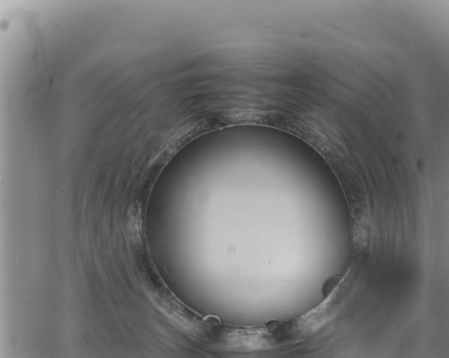 X0000064770179200602131325