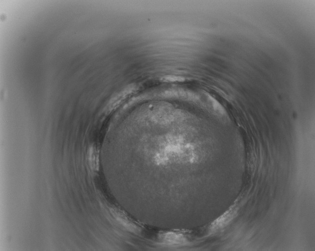 X0000064770180200602131325