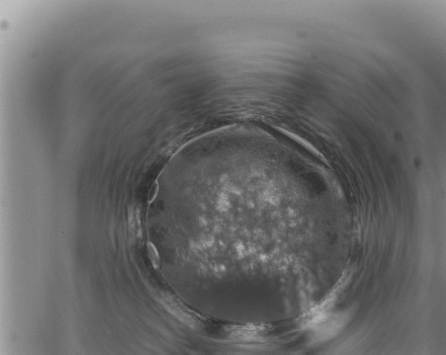 X0000064770182200602131325