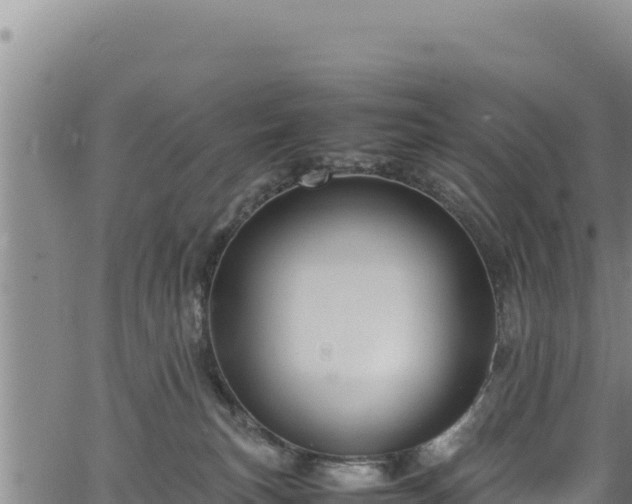 X0000064770183200602131326