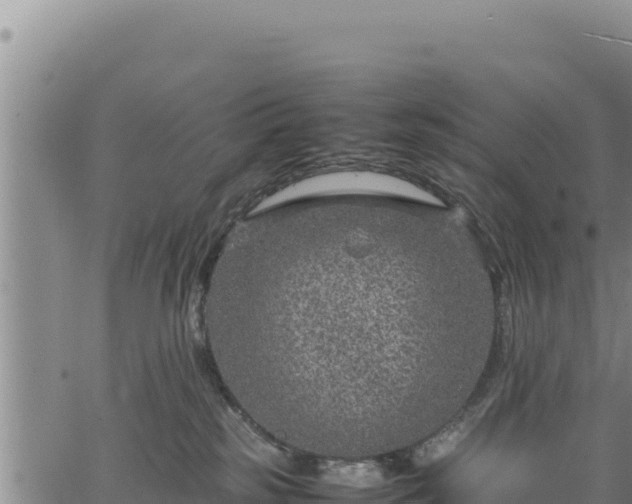 X0000064770185200602131326