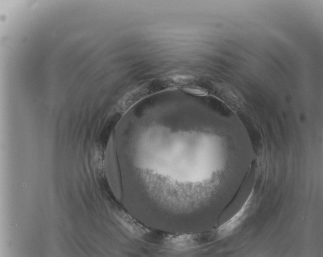 X0000064770186200602131326