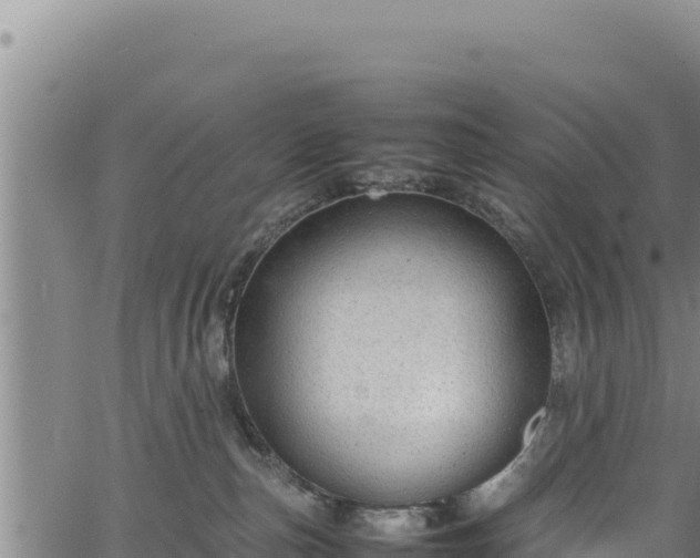 X0000064770187200602131326