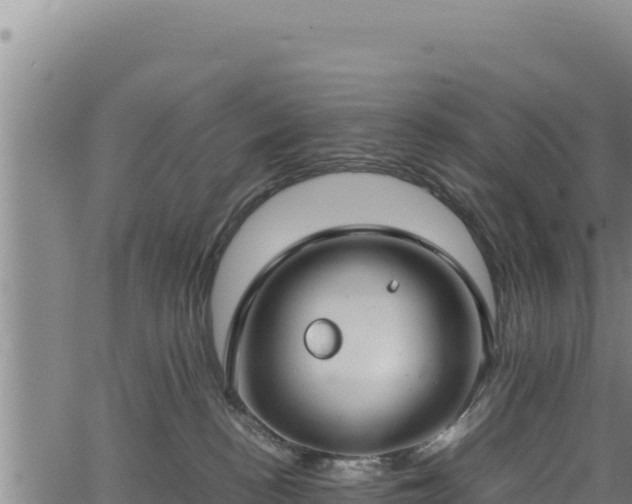 X0000064770188200602131326