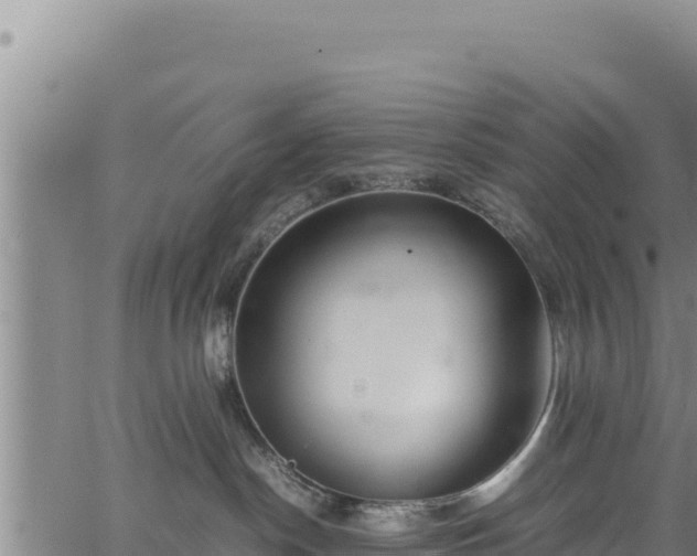 X0000064770190200602131326