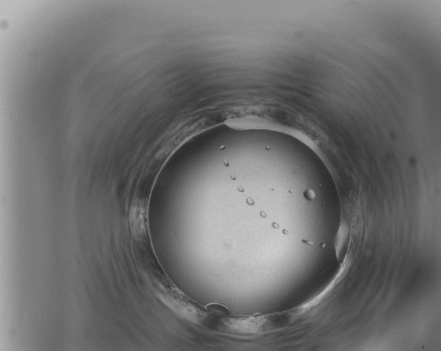 X0000064770191200602131326